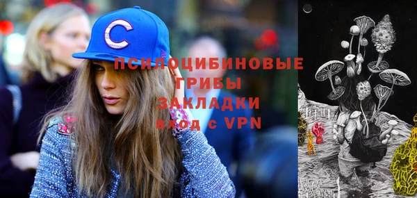 стаф Медвежьегорск