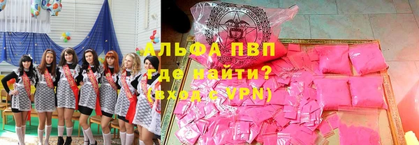 стаф Медвежьегорск
