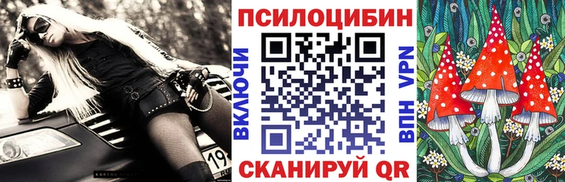 Галлюциногенные грибы Psilocybine cubensis  Хасавюрт 