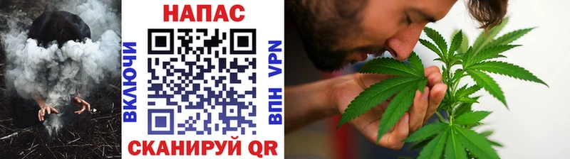 продажа наркотиков  гидра tor  Конопля SATIVA & INDICA  Хасавюрт 